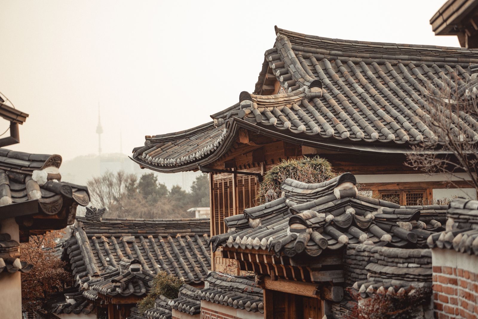 Hanok rooftops of Seochon, Seoul at dusk
